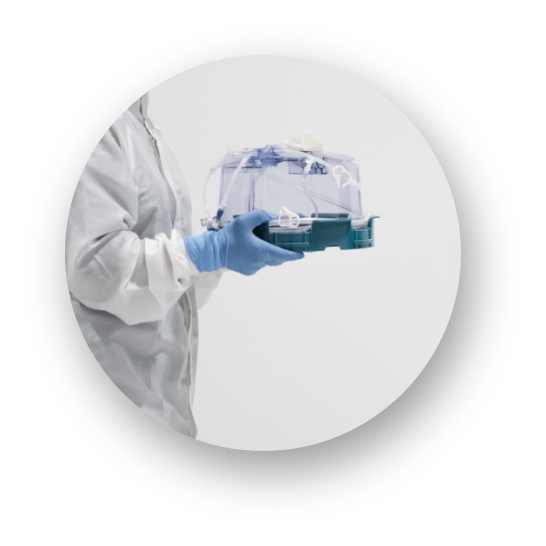 Final_uncropped-00035