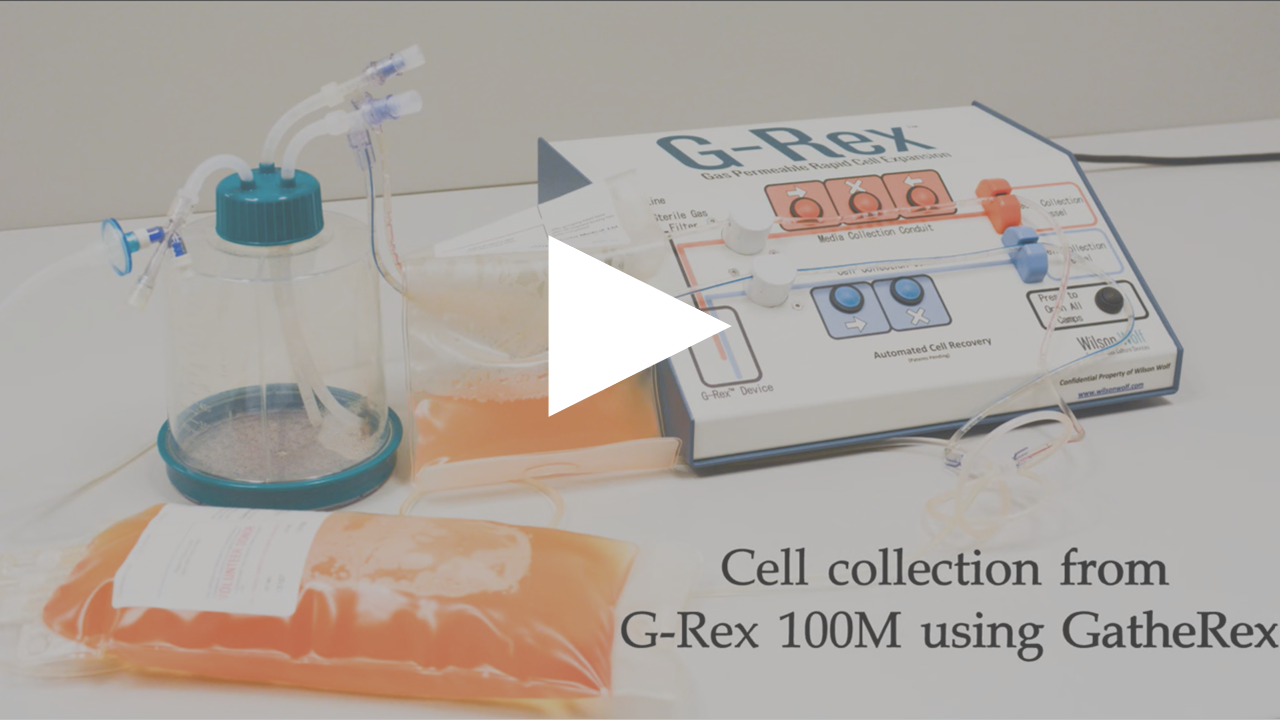 GatheRex Cell Harvesting Protocol Video