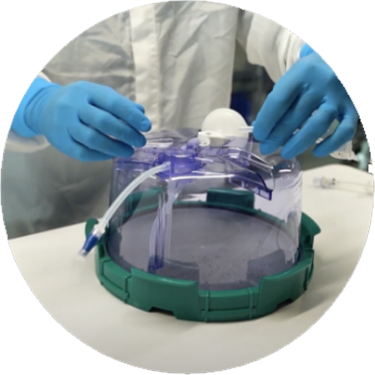 Screen-Shot-2021-06-16-at-1.06.02-PM