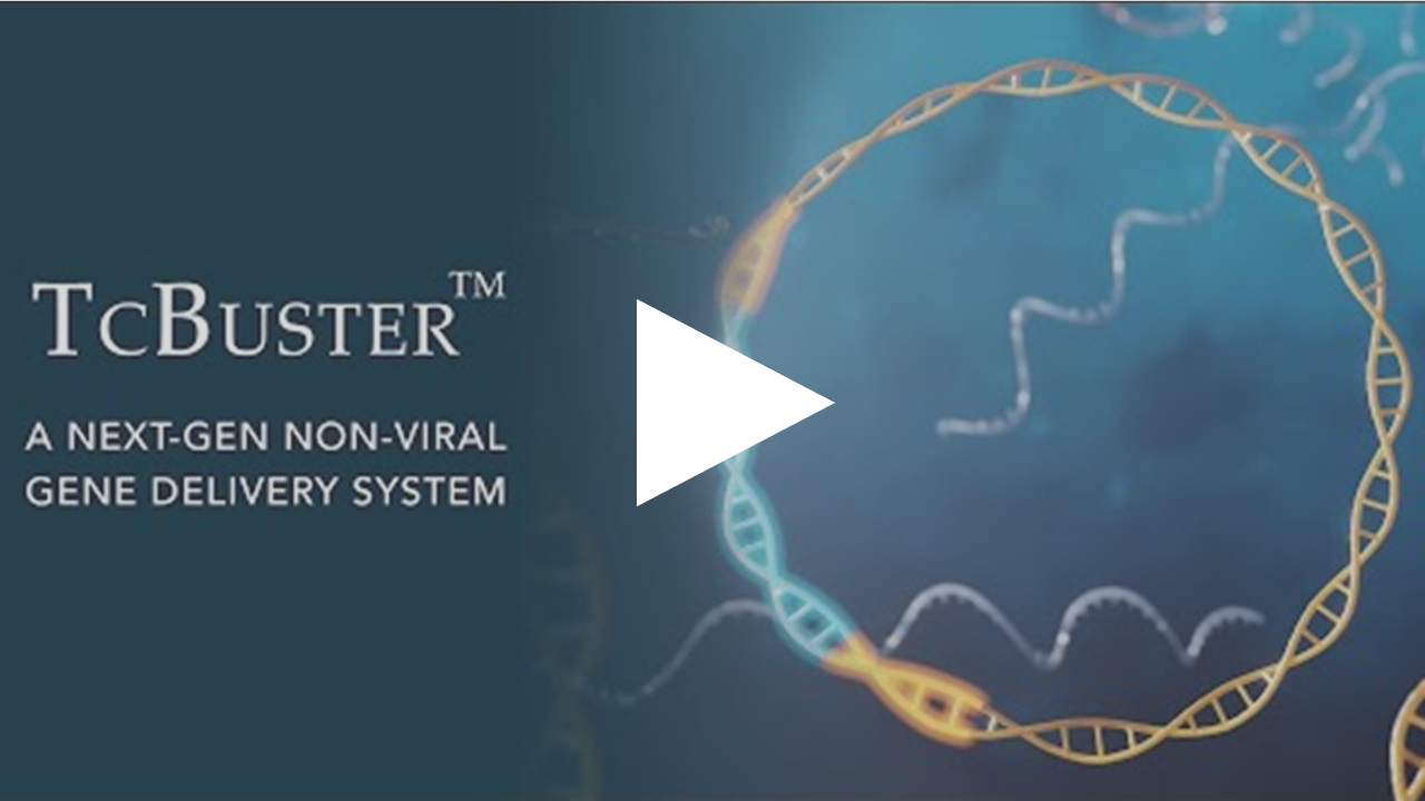How does TcBuster Gene Editing Work