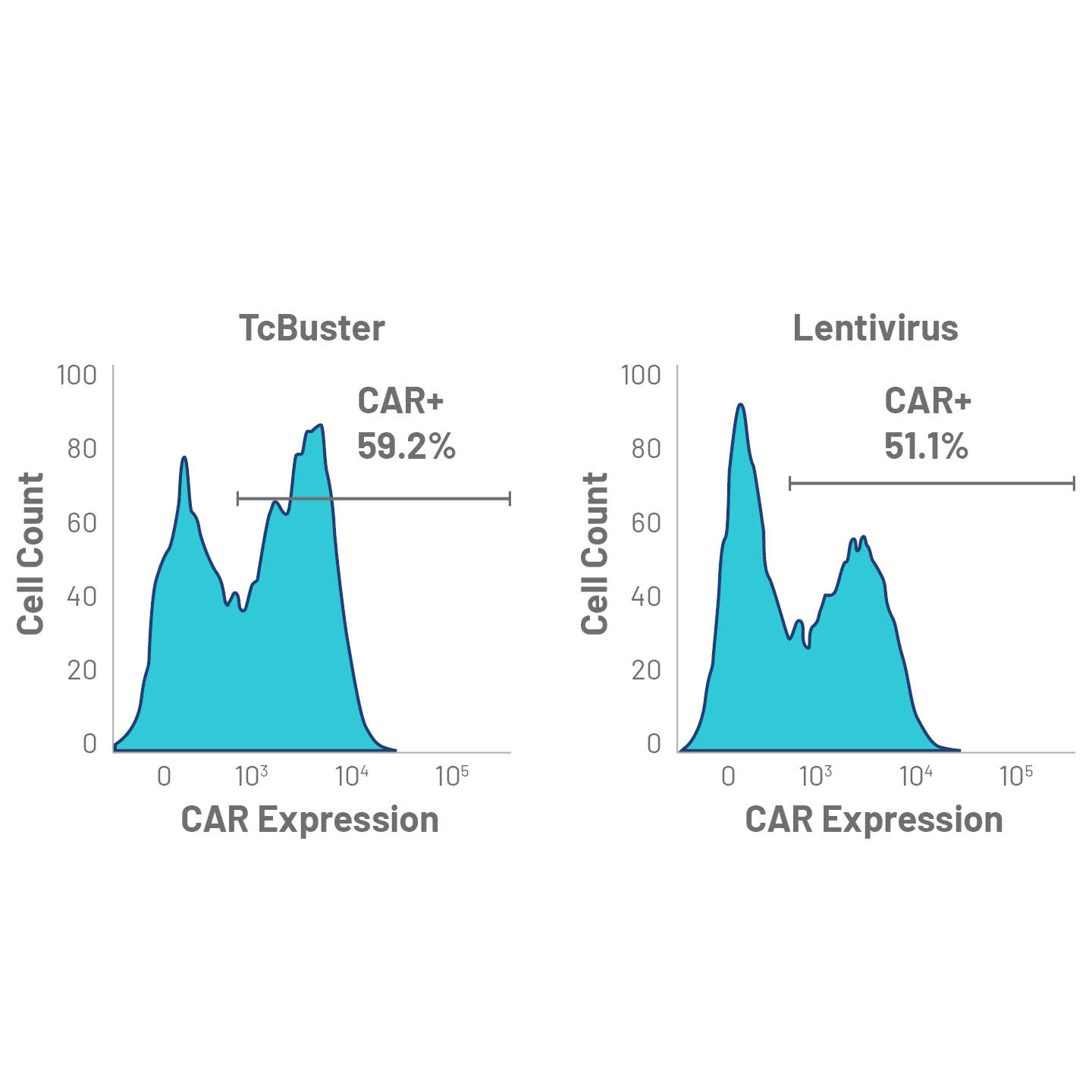 CAR-T gene editing using TcBuster transposition or Lentivirus transduction