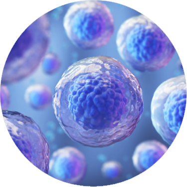 gettyimages-1154785553-170667a