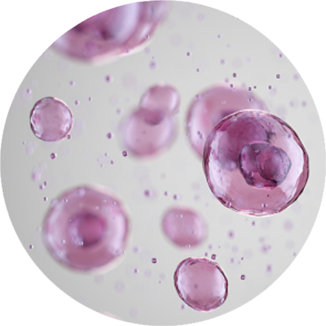 gettyimages-1303169161-170667a