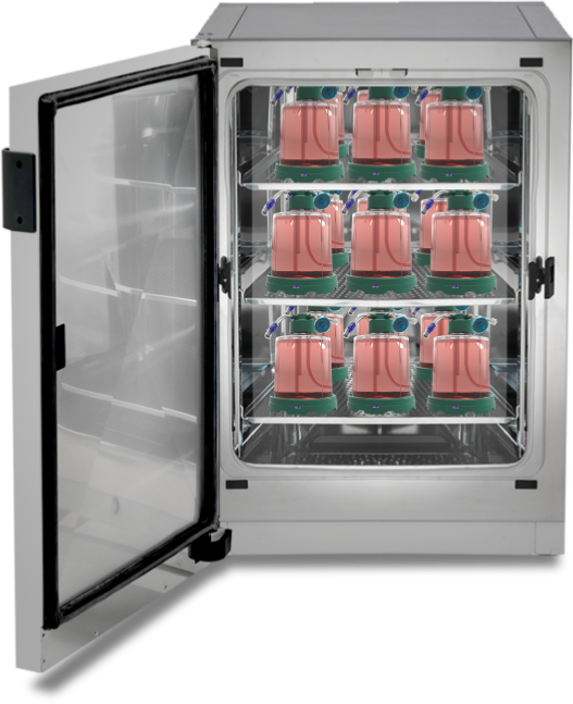 Multiple G-Rex Bioreactors in Incubator