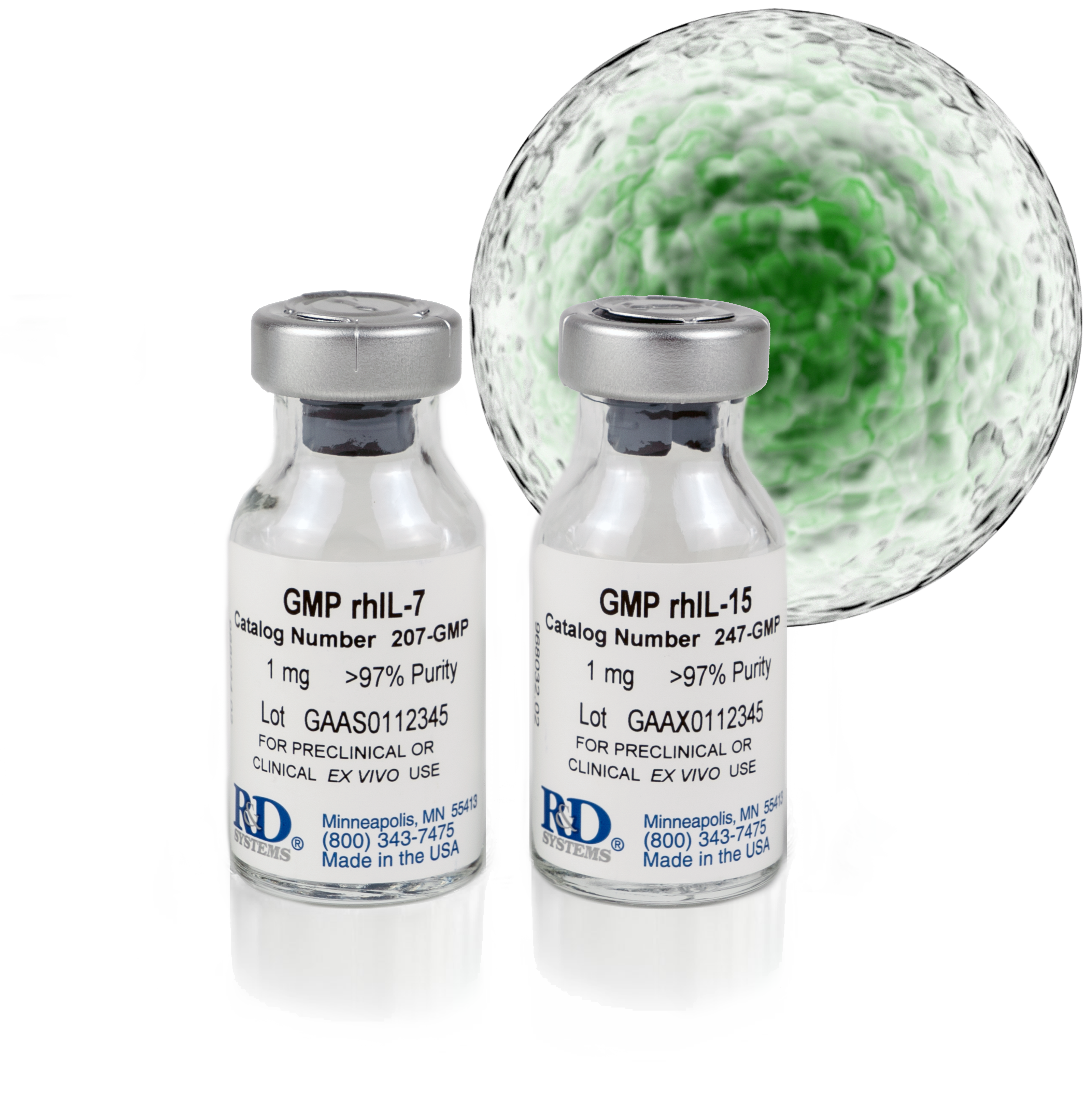 GMP IL-7 and IL-15 Cytokines