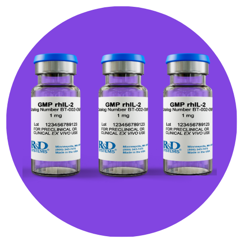 500×500 STP Cytokines IL 2 3