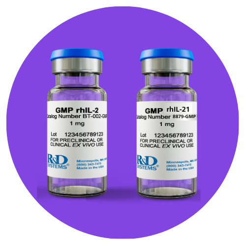 500×500 STP Cytokines IL2 and 21