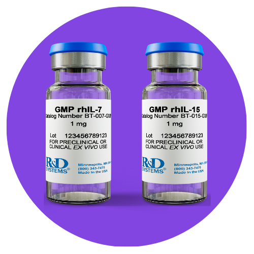 500×500 STP Cytokines IL7 amd 15